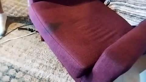 dtrain6969420 online show from 7, 3, 2025