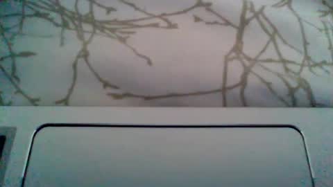 Snapshot of durocostante chatting on 23, 6, 2026 Duro per te.... Hard for U online show from 23, 6, 2026