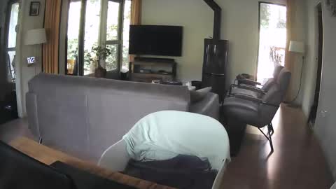 dutchsmooth online show from 10, 9, 2025