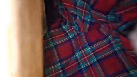 dVe1oPe online show from 21, 3, 2026