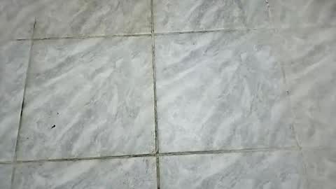 dxb11111 online show from 6, 1, 2026