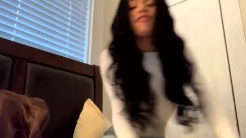 Snapshot of dynasty313 chatting on 17, 12, 2024 Dynasty online show from 17, 12, 2024