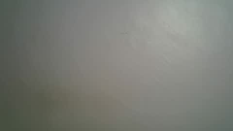 Queen online show from 15, 3, 2026