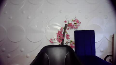 ebonykissxx online show from 26, 6, 2026