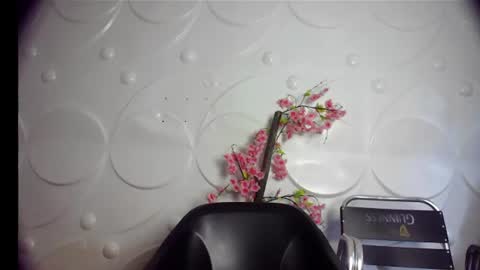 ebonykissxx online show from 2, 7, 2026