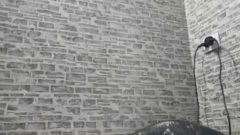 edithmanning online show from 18, 1, 2025