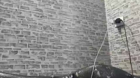 edithmanning online show from 27, 2, 2025