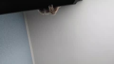 edithmanning online show from 13, 3, 2026