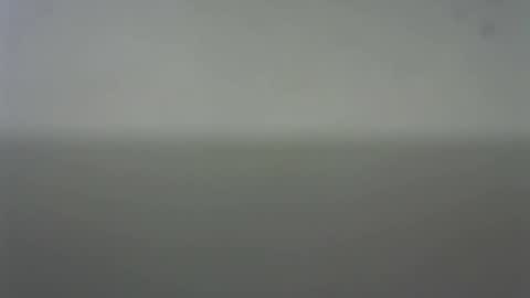 EIder online show from 22, 2, 2026