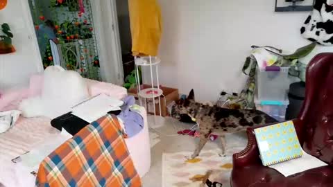 ejrabloom online show from 16, 3, 2026