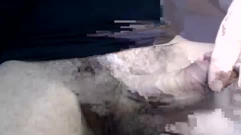 el gato lusty online show from 30, 1, 2025