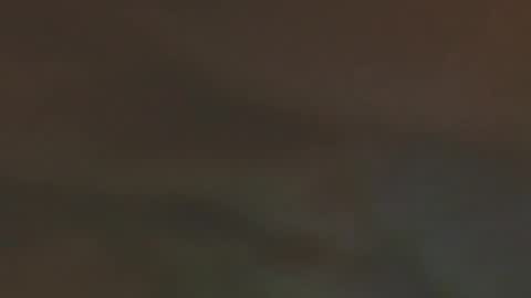 ela_3611 online show from 1, 2, 2026