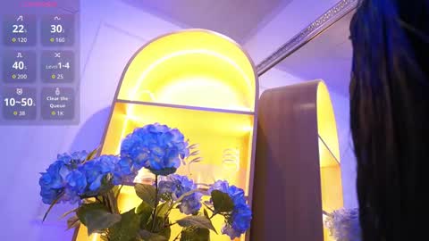 Elasummeer online show from 16, 12, 2025