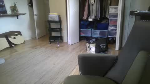 Snapshot of elephantfox chatting on 26, 12, 2024 fox online show from 26, 12, 2024