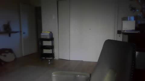 Snapshot of elephantfox chatting on 30, 12, 2024 fox online show from 30, 12, 2024