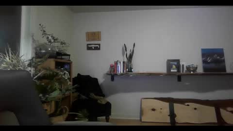 Snapshot of elephantfox chatting on 11, 2, 2025 fox online show from 11, 2, 2025