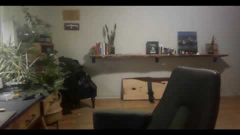 Snapshot of elephantfox chatting on 2, 3, 2025 fox online show from 2, 3, 2025