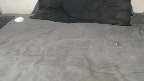 elgsslt online show from 18, 11, 2025