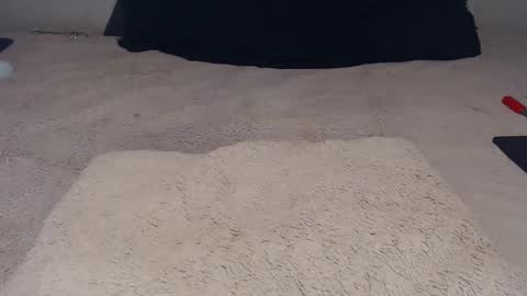 elgsslt online show from 23, 11, 2025