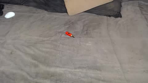 Snapshot of elgsslt chatting on 11, 3, 2026 elgsslt online show from 11, 3, 2026