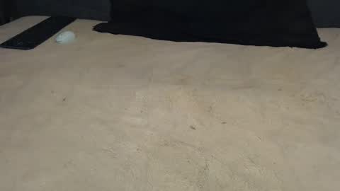 Snapshot of elgsslt chatting on 17, 3, 2026 elgsslt online show from 17, 3, 2026