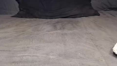 Snapshot of elgsslt chatting on 4, 4, 2026 elgsslt online show from 4, 4, 2026