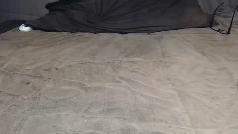 Snapshot of elgsslt chatting on 8, 4, 2026 elgsslt online show from 8, 4, 2026