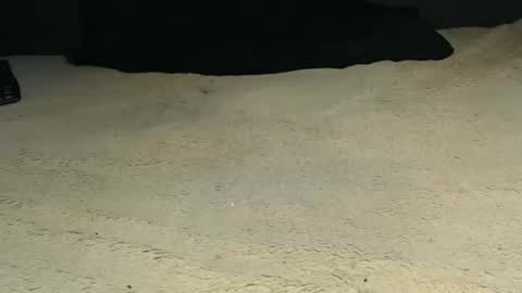 Snapshot of elgsslt chatting on 9, 4, 2026 elgsslt online show from 9, 4, 2026