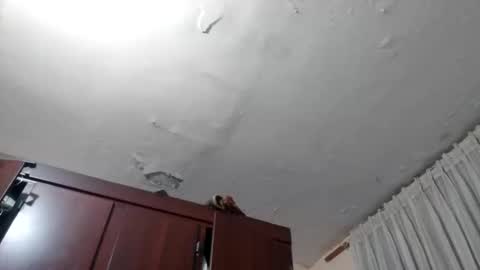 Snapshot of elianis598477 chatting on 10, 2, 2026 elianis598477 online show from 10, 2, 2026