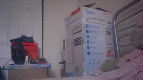 Snapshot of eliexavier123456789 chatting on 23, 12, 2024 eliexavier123456789 online show from 23, 12, 2024