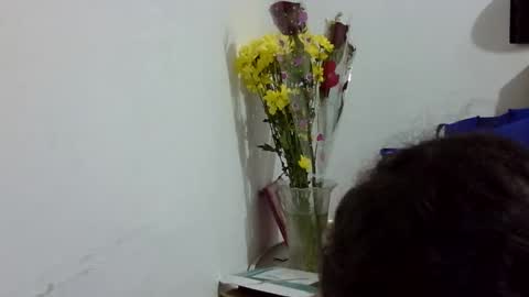 Elizabeth Martinez  online show from 12, 3, 2026