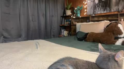 Snapshot of ella2sweet chatting on 6, 7, 2026 Ella online show from 6, 7, 2026