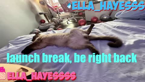 Ella NEXT STREAM 1TH DECEMBER 1200 - 0800 AM AT MOSCOW TIME online show from 7, 1, 2025