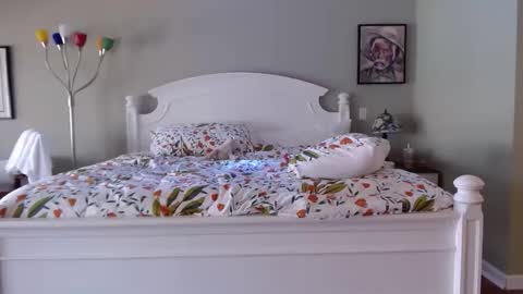 Snapshot of ellalowe chatting on 18, 3, 2026 ellalowe online show from 18, 3, 2026