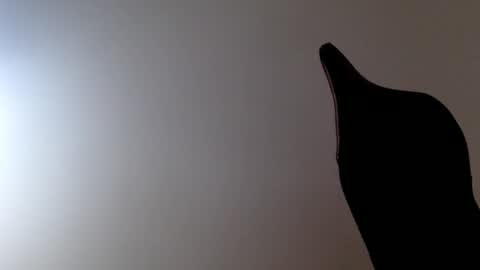 elosocazador online show from 19, 12, 2025