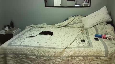 Elpouro online show from 8, 11, 2025