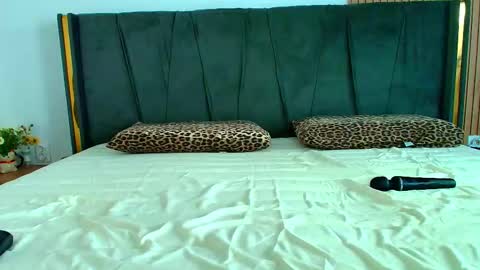 Ely online show from 28, 10, 2025