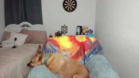 Snapshot of emberpheonixxx chatting on 17, 1, 2025 Ember Pheonixxx online show from 17, 1, 2025