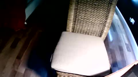 Snapshot of emi4850 chatting on 8, 12, 2024 emi4850 online show from 8, 12, 2024