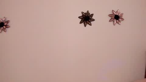 .  . online show from 8, 2, 2025