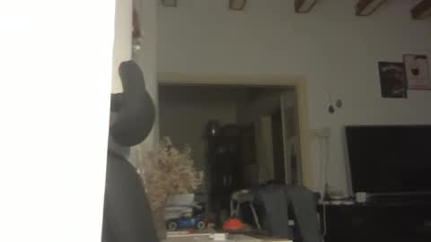 Ariel online show from 3, 12, 2025