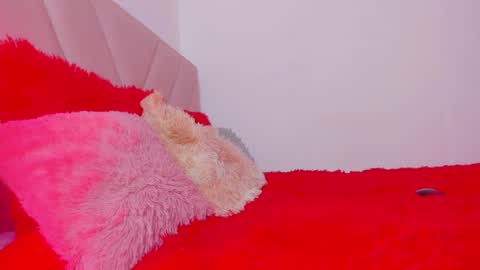 Snapshot of emy_colee chatting on 12, 12, 2024 Emy online show from 12, 12, 2024