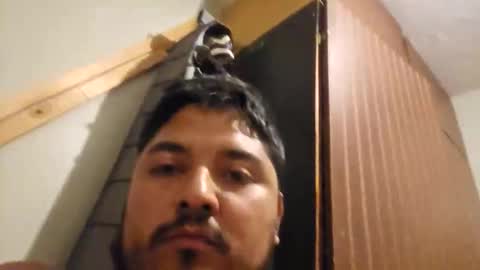 Snapshot of engineer_model_2022 chatting on 1, 3, 2026 engineer_model_2022 online show from 1, 3, 2026