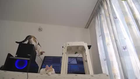 Eolicasextwo online show from 10, 3, 2025