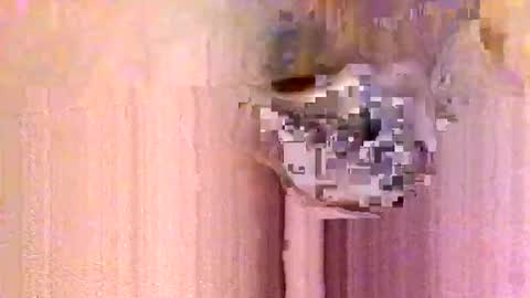 Snapshot of erick912 chatting on 13, 1, 2026 take it easy online show from 13, 1, 2026