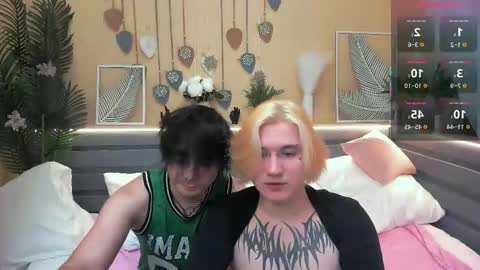 Hanzo online show from 11, 1, 2026