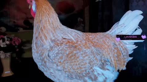 Eve online show from 30, 1, 2025