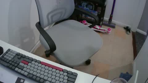 Snapshot of essex_wild chatting on 13, 7, 2026 Morph online show from 13, 7, 2026