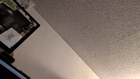 et528007 online show from 7, 11, 2025