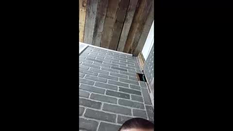 Snapshot of ethanfish600 chatting on 3, 3, 2026 ethanfish600 online show from 3, 3, 2026